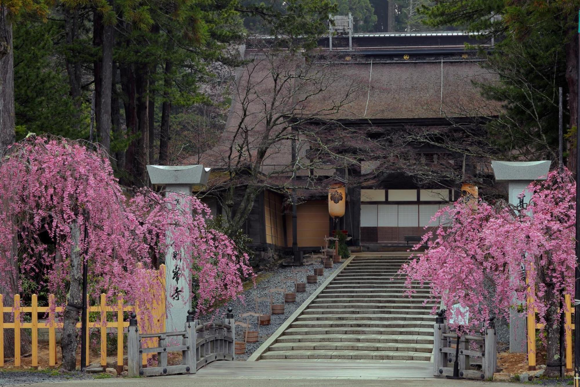 Koyasan Guesthouse Kokuu Buitenkant foto